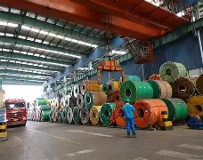 窗口期辽宁本钢调整名单以备意大利杯罗马调整名单备战法国杯，网友：Ning在利物浦比赛中爆冷(利物浦现役球员名单全部最新)